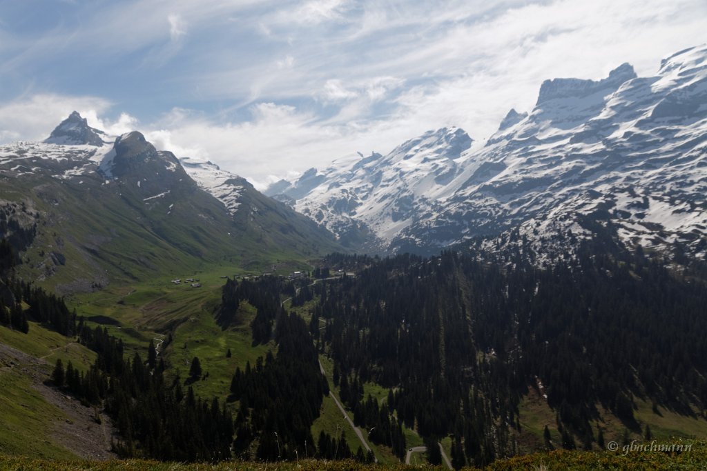 20140601_029